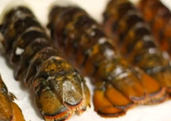 Cold Water Lobster Tails - Individual Tails