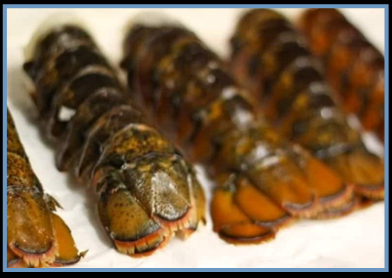 Cold Water Lobster Tails - Individual Tails