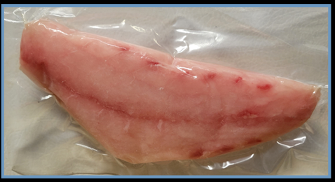 Grouper Fillets