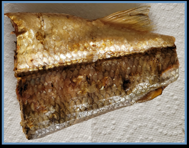 Fresh Smoked Trout Chunks