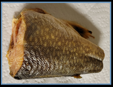 Fresh Smoked Whitefish Chunks