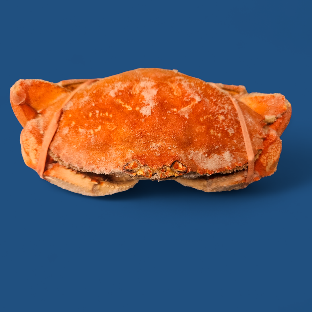 Whole Cooked Dungeness Crab - 1.5- 2 lb. Avg.